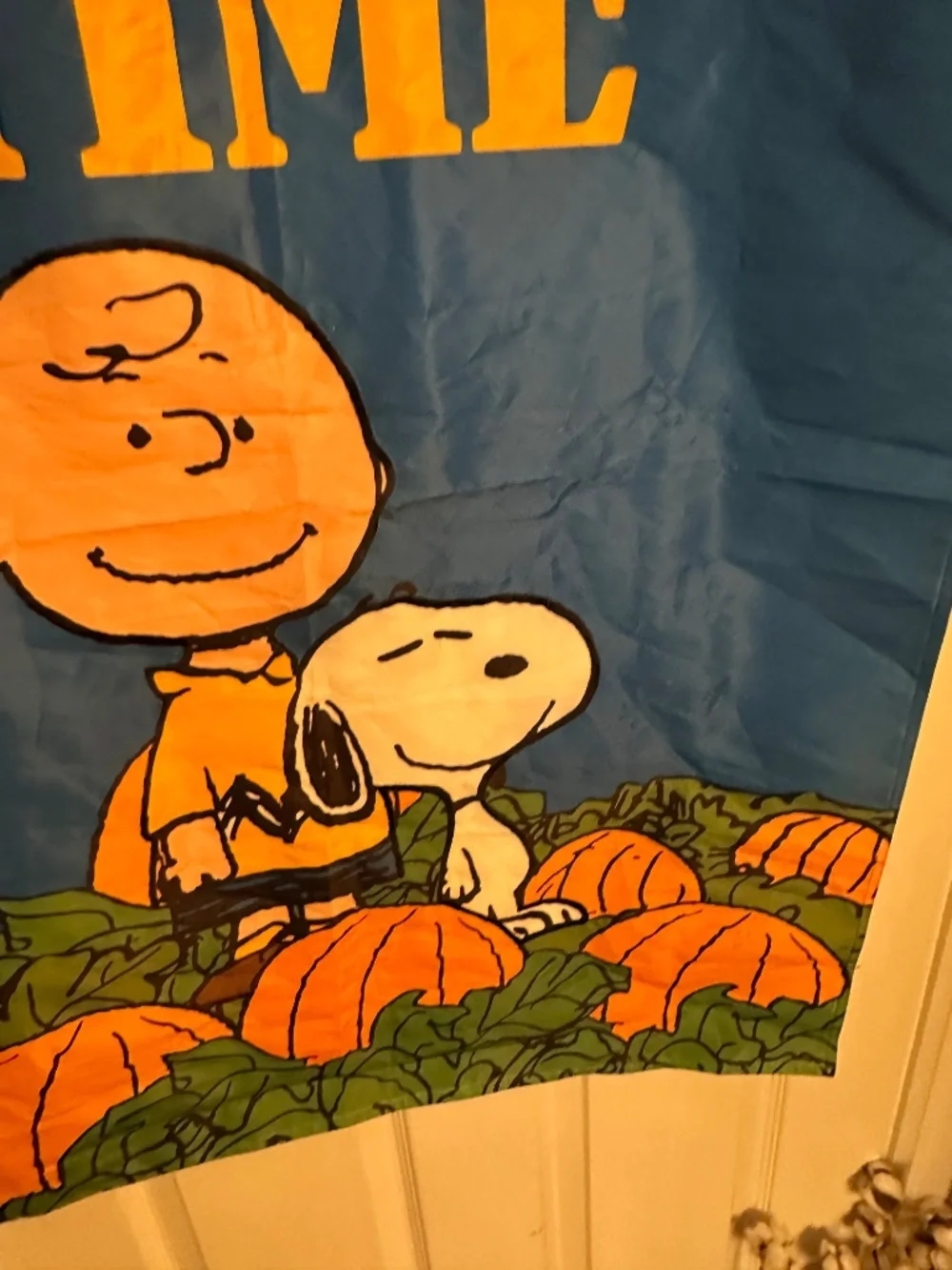 Peanuts/Charlie Brown & Snoopy Harvest/Fall House Flag/Banner 2014